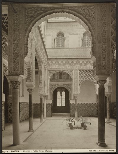  بواسطة جيمس أندرسون