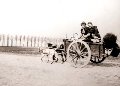 الكلاب تسحب النساء على عربة ، أنتويرب ، 1898. بواسطة جيمس باتكين