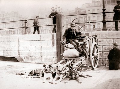 رجل مع عربة الكلب ، أنتويرب ، 1898. بواسطة جيمس باتكين
