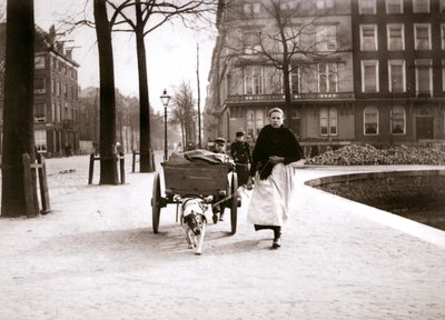 امرأة مع عربة الكلب ، روتردام ، 1898. بواسطة جيمس باتكين