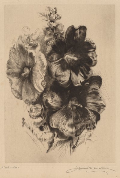 Hollyhocks واحد داكن بواسطة جيمس ديفيد سميلي