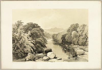 الرماد والجميز والبلوط من المتنزه والغابة بواسطة James Duffield Harding