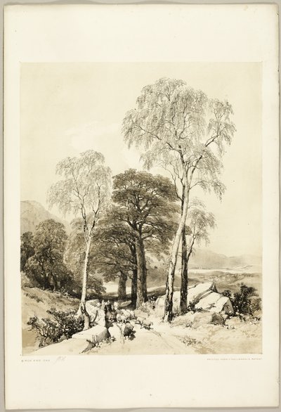 بيرش والبلوط ، من The Park and the Forest بواسطة جيمس دوفيلد هاردينج