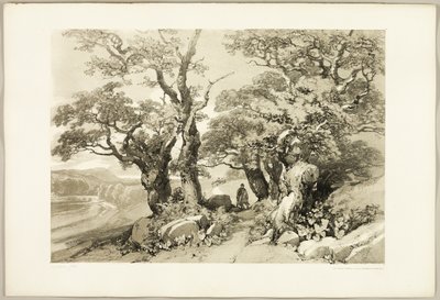 البلوط القديم ، من The Park and the Forest بواسطة James Duffield Harding