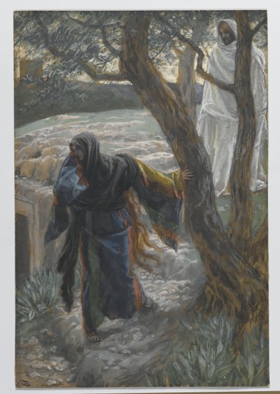 يظهر يسوع لمريم المجدلية ، توضيح من حياة ربنا يسوع المسيح ، 1886-1894 (مرحاض على الجرافيت على الورق) بواسطة جيمس جاك جوزيف تيسو
