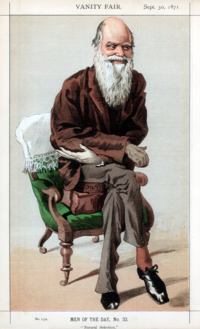 الانتقاء الطبيعي ، 1871. بواسطة جيمس جاك جوزيف تيسو