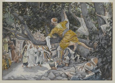 Zaccheus في الجميز في انتظار مرور يسوع ، التوضيح من حياة ربنا يسوع المسيح ، 1886-1896 (مرحاض فوق الجرافيت على الورق) بواسطة جيمس جاك جوزيف تيسو