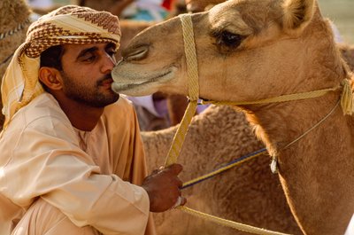  بواسطة جيمس إل ستانفيلد