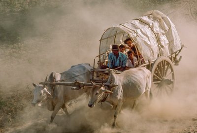  بواسطة جيمس إل ستانفيلد