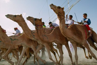 بواسطة جيمس إل ستانفيلد