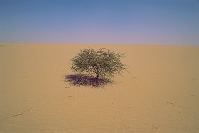  بواسطة جيمس إل ستانفيلد