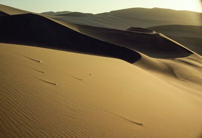  بواسطة جيمس إل ستانفيلد