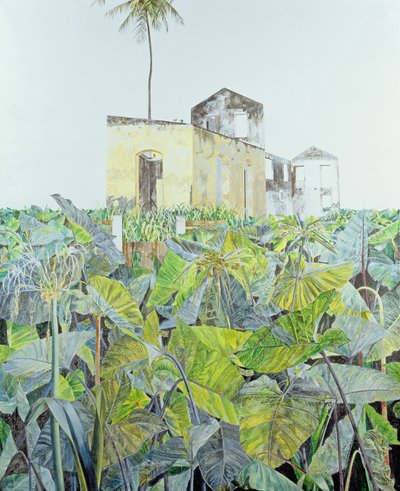 خراب في مستنقع ، هايتي ، 1971 بواسطة جيمس ريف