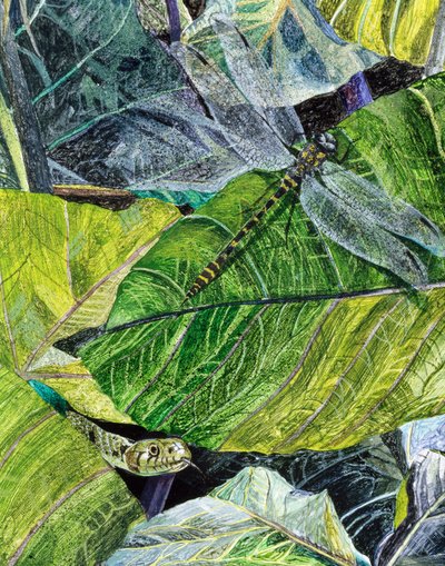 ثعبان الماء وذبابة التنين ، 1971 بواسطة جيمس ريف