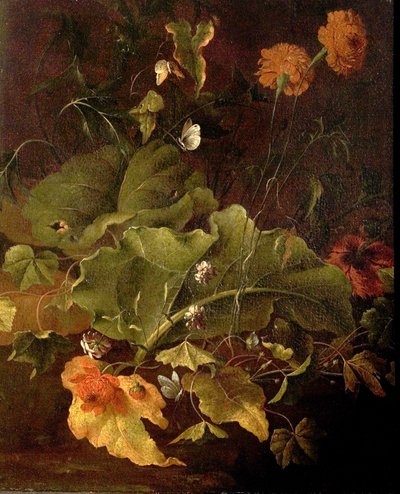 أوراق رصيف وأزهار أخرى ، c.1820 بواسطة جيمس سيليت