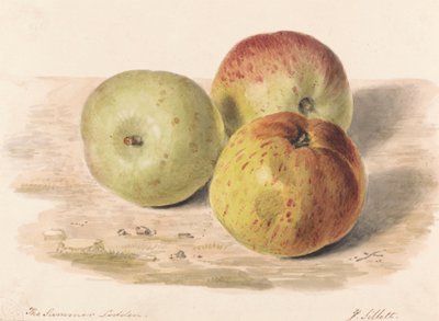 The Summer Lodden ، سبتمبر 1832: دراسة عن حياة ثلاثة تفاحات بواسطة جيمس سيليت