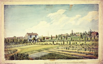 حديقة ويليام كيرتس النباتية ، لامبيث مارش ، أنتي 1787 ، ج 1787 بواسطة جيمس سويربي