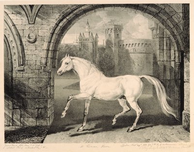 حصان فارسي ، من "خيول مشهورة" ، مجموعة من أربعة عشر طبعة سباق نشرت من قبل الفنان ، 1823-24 بواسطة James Ward
