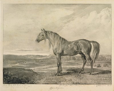 كوبنهاغن ، من "الخيول المشهورة" ، مجموعة من أربعة عشر طبعة سباق نشرت من قبل الفنان ، 1823-24 بواسطة جيمس وارد