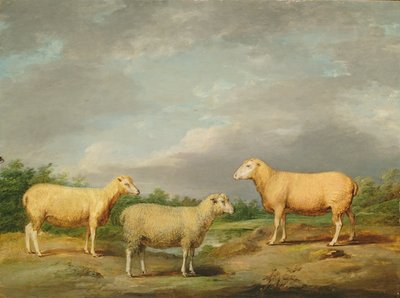 خروف رايلاندز ، ورم الملك ، ونشوة الملك وويثر اللورد سومرفيل ، حوالي 1801-07 (زيت على لوح) بواسطة جيمس وارد