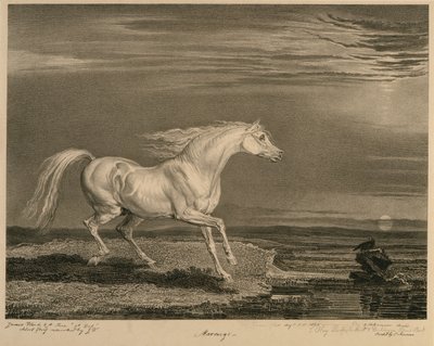 مارينغو ، من الخيول المشهورة ، مجموعة من أربعة عشر طبعة سباق نشرت من قبل الفنان ، 1823-24 بواسطة جيمس بعد وارد