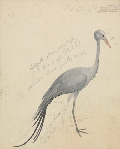 رافعة بواسطة James de Carle Sowerby
