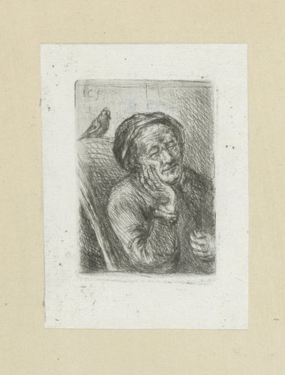Slapende oude man التقى Vogel العمل الكامل للنقش لجون شالون / Oeuvre Complette des Eaux Fortes par Jean Chalon (عنوان السلسلة) بواسطة كريستيان جوزي