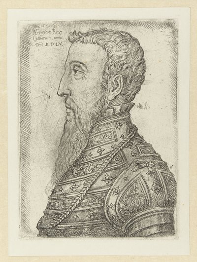بورتريت فان هندريك الثاني Henry King of the Gauls (العنوان على الكائن) بواسطة Jan Cornelisz Vermeyen