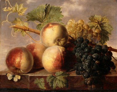 الخوخ والعنب مع الملفوف الأبيض على حافة الرخام ، بواسطة Jan Frans van Dael