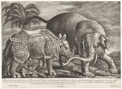 Olifant en neushoorn تمثيل حقيقي لرائعتين من روائع الطبيعة ، الفيل ووحيد القرن (العنوان على الكائن) بواسطة فرانسيس بارلو