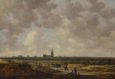 منظر لاهاي من الشمال الغربي ، 1647. بواسطة جان جوزيفز فان جوين