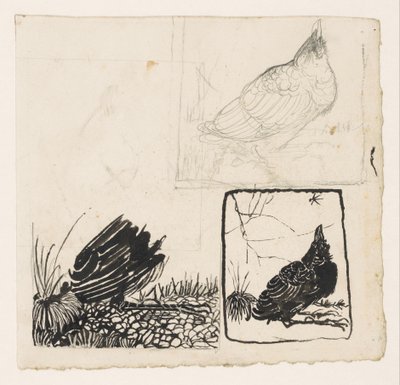 الغراب ، ينظر إلى البعوضة بواسطة جان مانكس