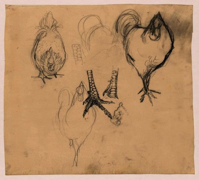 دراسات الديك والدجاج بواسطة جان مانكس