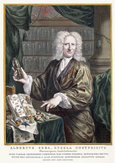 صورة لألبرتوس سيبا من "أغنى كنوز الطبيعة أشياء وصف نوفا" ، 1734-1765 بواسطة جان موريتس كوينكهارت