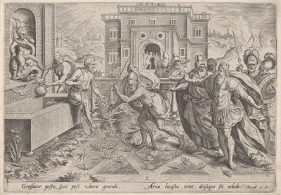 طاعون الجراد بواسطة Jan Sadeler I, after Maarten van Cleef