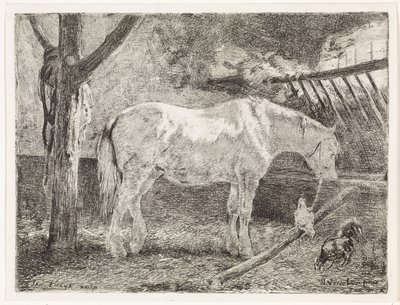 الحصان في الاسطبل بواسطة يوهانس مارتينوس فروليك