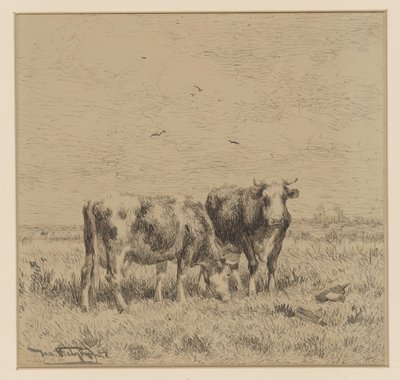 بقرتان في مرعى بواسطة يوهانس مارتينوس فروليك