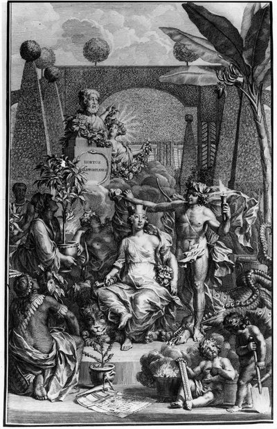 Frontispice of "Hortus Cliffortianus" بواسطة Charles Linne (Carl von Linne، Linneus 1707 - 1778) ، عالم الطبيعة السويدي. 1737. نقش جان وانديلار (1690-1759). مجموعة خاصة. بواسطة جان وانديلار