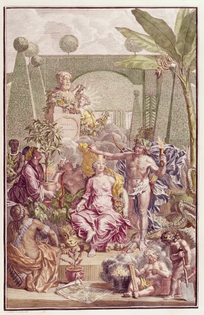صورة "Hortus Cliffortianus" لكارل لينيوس (1707-78) بواسطة جان وانديلار