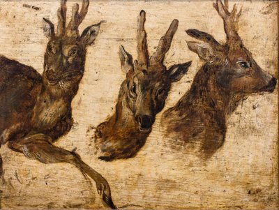 رأس الديباج (زيت على قماش) بواسطة جان الأكبر بروغل