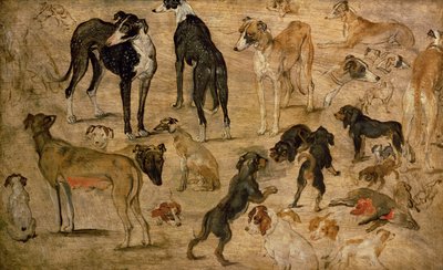 دراسة كلاب ، 1616 بواسطة Jan the Elder Brueghel