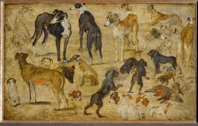 دراسات المستوى بواسطة جان الأكبر بروغل