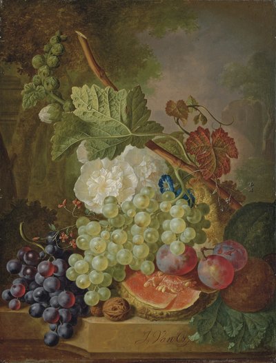  بواسطة جان فان أوس