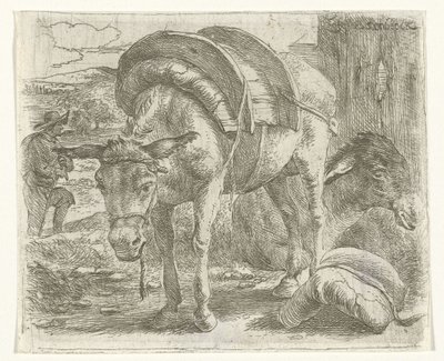 باكزيل بواسطة Jan van Ossenbeeck