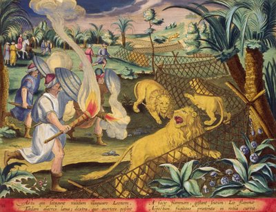 مطاردة رومانية ، ربما في شمال إفريقيا الرومانية ، اللوحة 10 من ، "Venationes Ferarum ، Avium ، Piscium" (للصيد: الحيوانات البرية والطيور والأسماك) نقشها جان كوليرت (1566-1628) نشره فيليبس جالايوس من أمستردام (نقش ملون يدويًا) بواسطة جان فان دير (1523 1605) (بعد) Straet