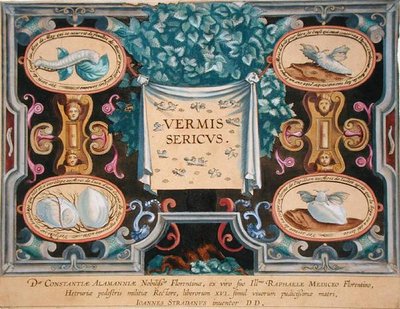 واجهة كتابية لـ "Vermis Sericus" (دودة القز) نقشها ثيودور جالي (1571-1633) (نقش) بواسطة جان فان دير سترايت