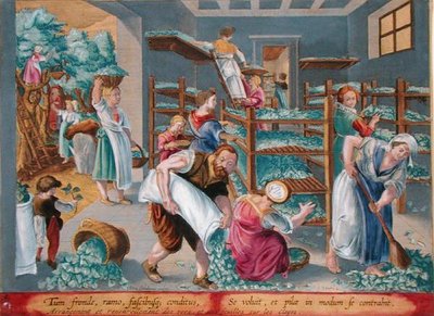 تبطين الأرفف النسائية بأوراق التوت لديدان القز ، اللوحة 5 من "Vermis Sericus" (دودة القز) محفور بواسطة Philip Galle (1537-1612) (نقش) بواسطة جان فان دير سترايت