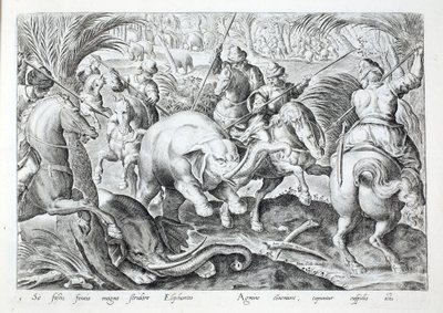 تُحدث الأفيال ضوضاء كبيرة لأنها تصطدم برماح الصيادين ، رسم توضيحي من "Venationes ، Ferarum ، Avium ، Piscium" (للصيد: Wild Beasts ، Birds ، Fish) ، نقش بواسطة Jan Collaert (1566-1628) ، حانة. بقلم فيليبس غالايوس ، أمستردام (نقش) بواسطة جان فان دير (1523 1605) Straet