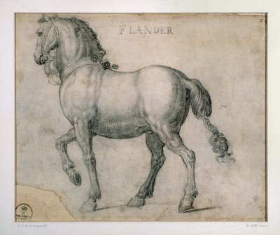 دراسة لخيول من فلاندرز رسم جيوفاني سترادانو (جان فان دير ستريت) (1523-1605) فلورنسا ، قسم المطبوعات والرسومات ، أوفيزي (مكاتب) بواسطة جان فان دير سترايت