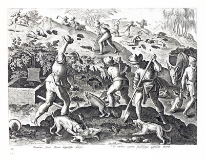حفر والتقاط البادجر ، رسم توضيحي من "Venationes ، Ferarum ، Avium ، Piscium" (للصيد: وحوش برية ، طيور ، سمك) ، نقش بواسطة Jan Collaert (1566-1628) ، حانة. بواسطة فيليبس غالايوس ، Ams بواسطة جان فان دير سترايت